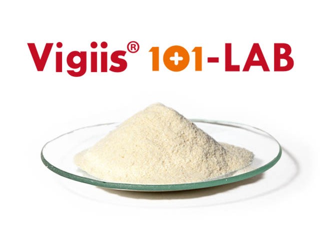 Vigiis 101-LAB-3